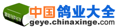 中国鸽业大全，鸽具、饲料、鸽用品企业展示展销平台！