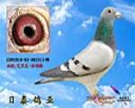 ֲӥ ۡù