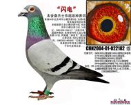硱