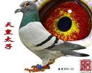 天皇太子