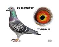 乔斯.乔森