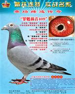 409