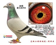 šֱӡ905