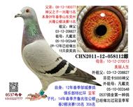 رǾ  ֮Ů058112
