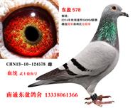 ӯ578