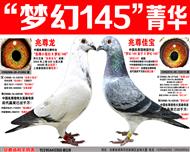 ԰ʿơλ145λϣ
