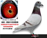 红色经典