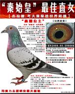 “赢灵公主”秦始皇最优秀的女儿