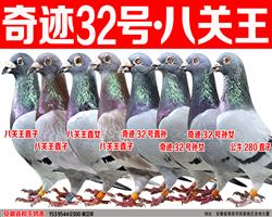 ֲ漣32  άղɭ˹