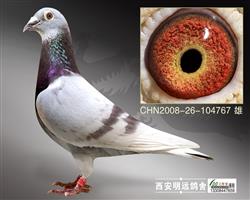 ħͳ졿