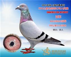 骠马0577