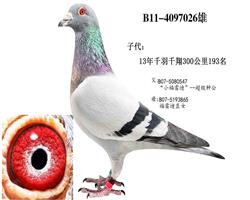 “福雷迪”两重回血孙