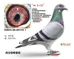 ˫170