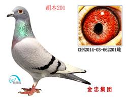 201