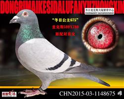 չ675к919ֱŮ