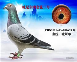 Ľ