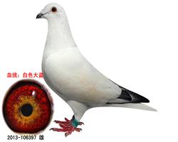 ɫ