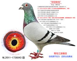 Ϳˡ-ƿ