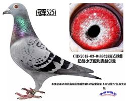 ھ525