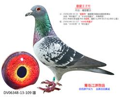 最爱王子号-福登霍芬