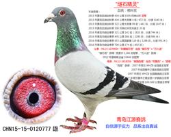 ʯ顱-ƿ