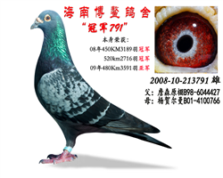 ھ791Ʒ