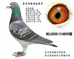 ǱȻɫֱ