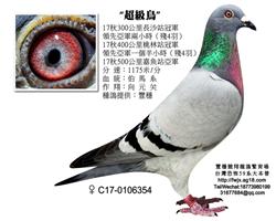 豐穩超級鳥
