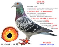 š-ƿ