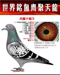 ʮ/Ѫ
