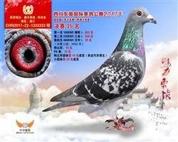 宝骏333