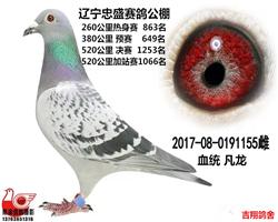 2017ʢ
