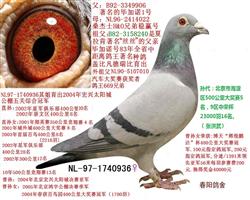 桑杰士稳赢号直女甘纳斯原舍