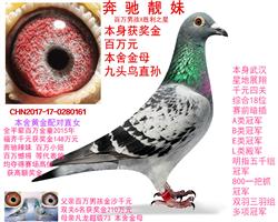 奔驰靓妹