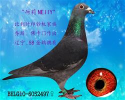 Ŵ롰Ϳ*١С