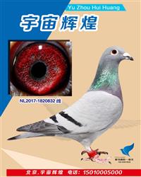 ŷԪ832