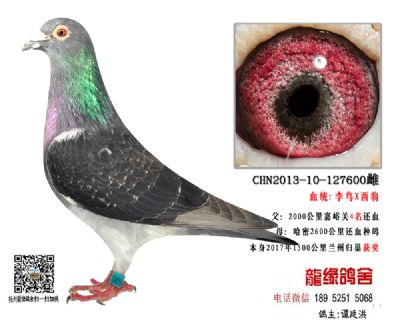 17곬Զ1500鳲