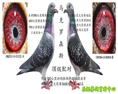 顶级配对（马克罗森斯）