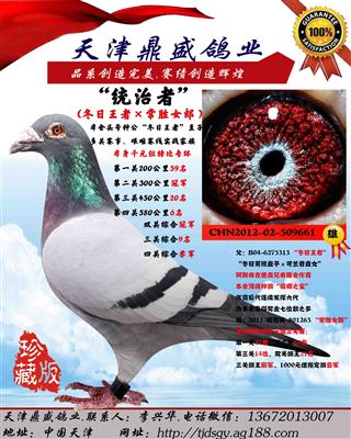“统治者”