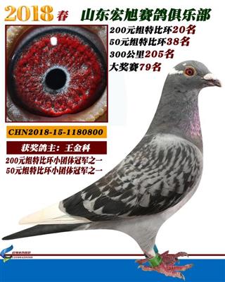 200元组20名