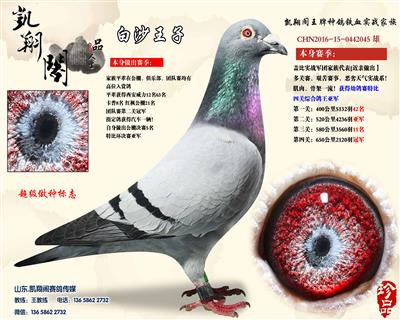白沙王子