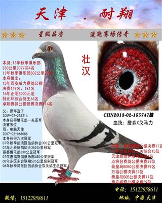 壮汉
