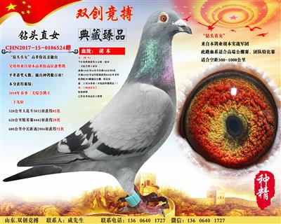 钻头直女
