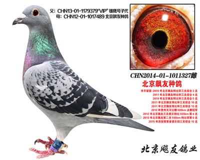 KBDBȫھVIPӥŮ327
