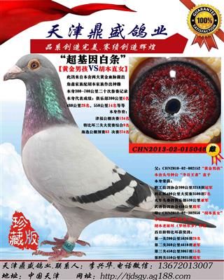 【超基因白条】