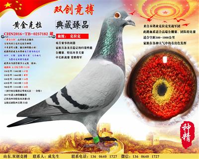 黄金克拉