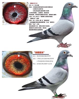 华夏工薪价位配对出售展示