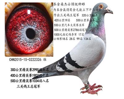 本舍桑杰士326