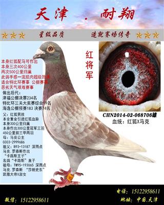 红将军