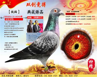 【铁斑】